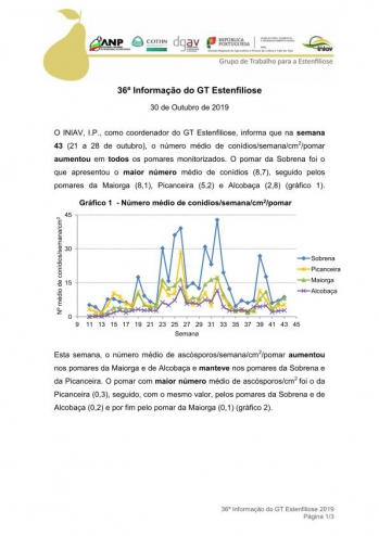 36ª Informação do GT Estenfiliose 2019 Imagem 1