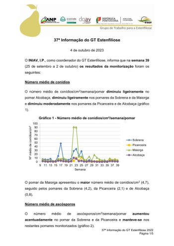 37ª Informação do GT Estenfiliose 2023 Imagem 1