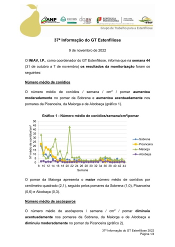 37ª Informação do GT Estenfiliose 2022 Imagem 1