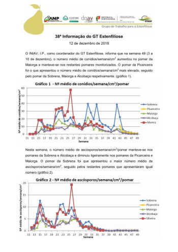 38ª Informação do GT Estenfiliose 2018 Imagem 1