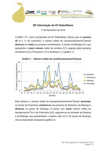 38ª Informação do GT Estenfiliose 2019 Imagem 1