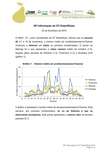 39ª Informação do GT Estenfiliose 2019 Imagem 1