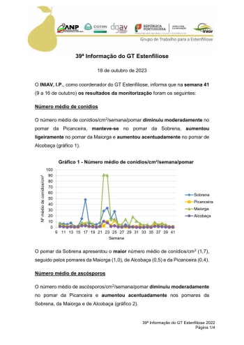 39ª Informação do GT Estenfiliose 2023 Imagem 1