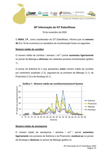 39ª Informação do GT Estenfiliose 2020 Imagem 1