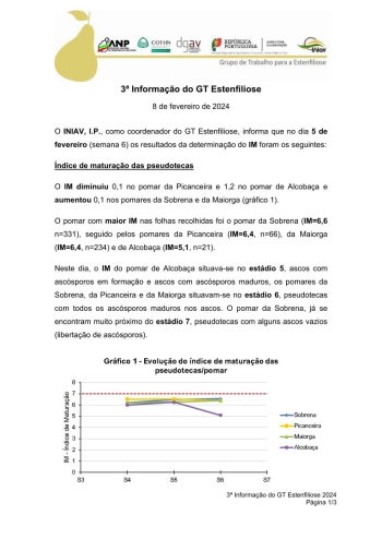 3ª Informação do GT Estenfiliose 2024 Imagem 1