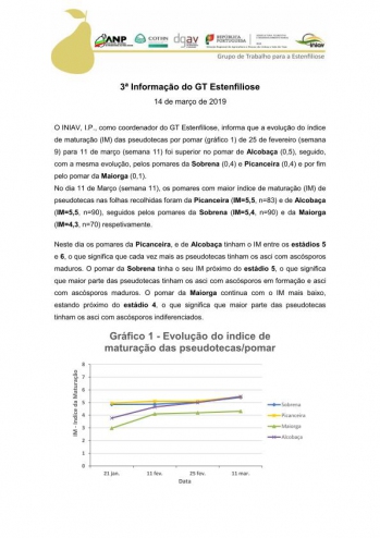 3ª Informação do GT Estenfiliose 2019 Imagem 1