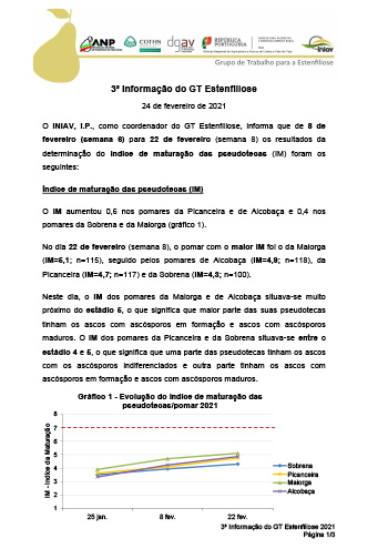 3ª Informação do GT Estenfiliose 2021 Imagem 1