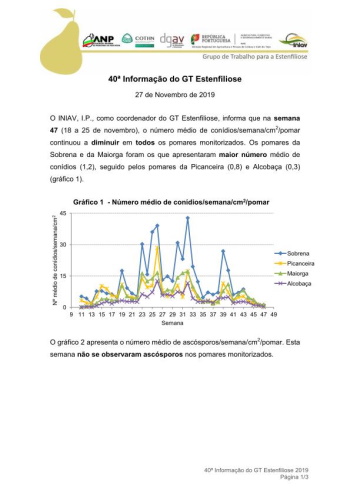 40ª Informação do GT Estenfiliose 2019 Imagem 1