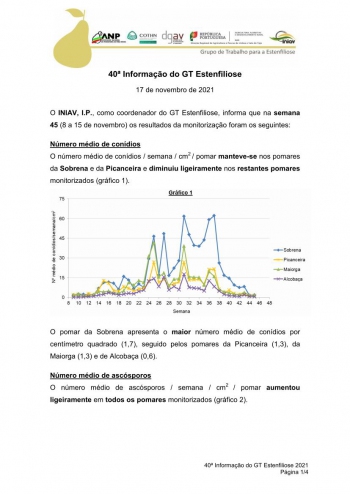 40 Informação do GT Estenfiliose 2021 Imagem 1