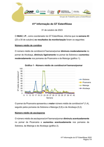 41ª Informação do GT Estenfiliose 2023 Imagem 1