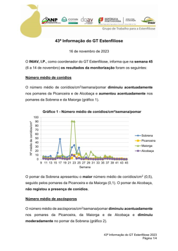 43ª Informação do GT Estenfiliose 2023 Imagem 1