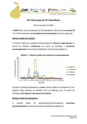 44ª Informação do GT Estenfiliose 2023 Imagem 1