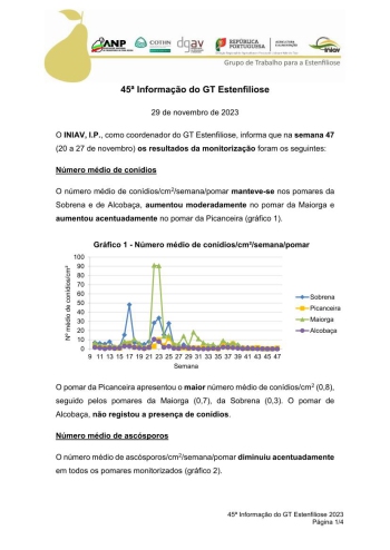 45ª Informação do GT Estenfiliose 2023 Imagem 1