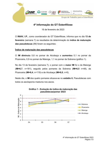 4ª Informação do GT Estenfiliose 2023 Imagem 1