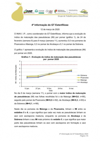 4ª Informação do GT Estenfiliose 2020 Imagem 1