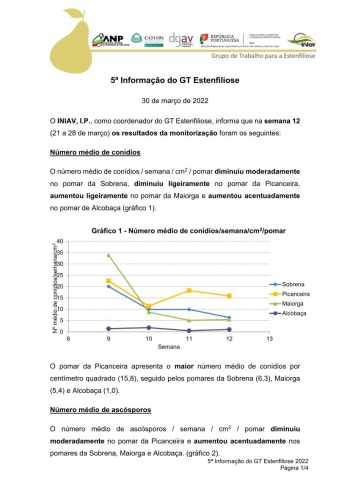 5ª Informação do GT Estenfiliose 2022 Imagem 1