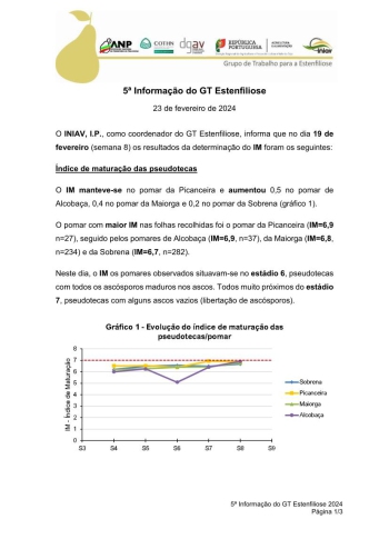 5ª Informação do GT Estenfiliose 2024 Imagem 1