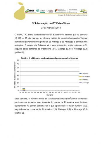 5ª Informação do GT Estenfiliose 2019 Imagem 1