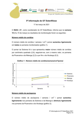 5ª Informação do GT Estenfiliose 2021 Imagem 1