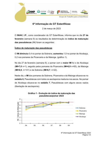 6ª Informação do GT Estenfiliose 2023 Imagem 1