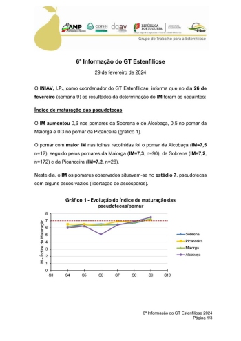 6ª Informação do GT Estenfiliose 2024 Imagem 1