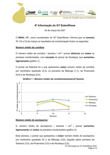 6ª Informação do GT Estenfiliose 2021 Imagem 1