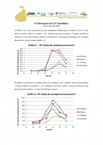 6ª Informação do GT Estenfiliose 2018 Imagem 1