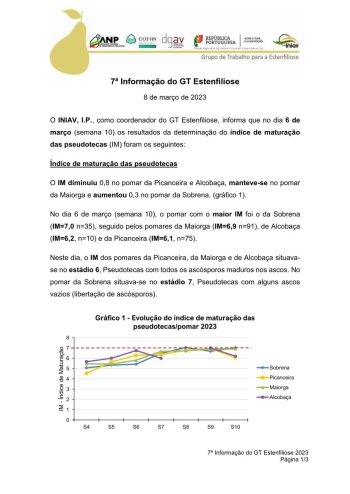 7ª Informação do GT Estenfiliose 2023 Imagem 1