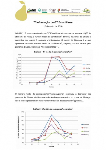 7ª Informação do GT Estenfiliose 2018 Imagem 1