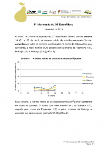 7ª Informação do GT Estenfiliose 2019 Imagem 1