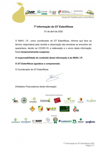 7ª Informação do GT Estenfiliose 2020 Imagem 1