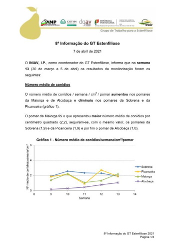 8ª Informação do GT Estenfiliose 2021 Imagem 1