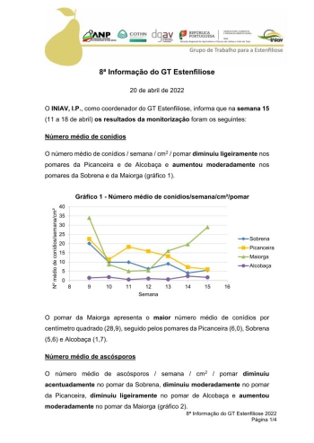 8ª Informação do GT Estenfiliose 2022 Imagem 1