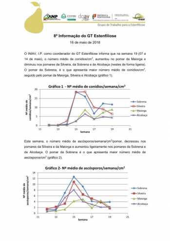 8ª Informação do GT Estenfiliose 2018 Imagem 1