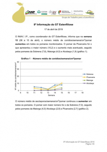 8ª Informação do GT Estenfiliose 2019 Imagem 1