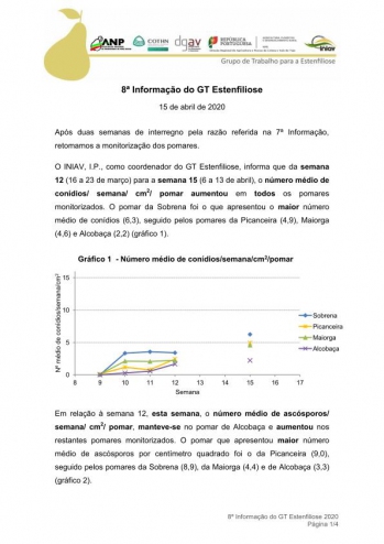 8ª Informação do GT Estenfiliose 2020 Imagem 1