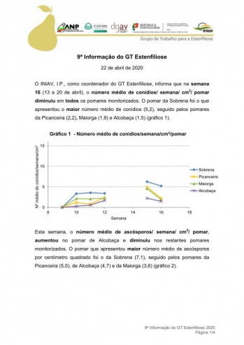 9ª Informação do GT Estenfiliose 2020 Imagem 1