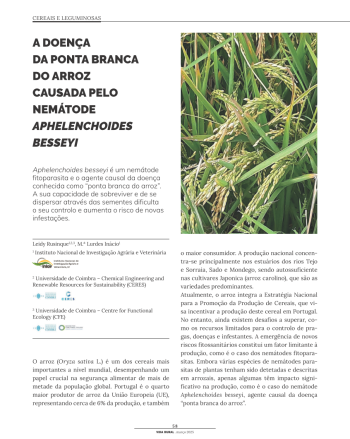 A DOENÇA DA PONTA BRANCA DO ARROZ CAUSADA PELO NEMÁTODE ... Imagem 1