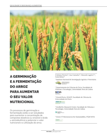 A GERMINAÇÃO E A FERMENTAÇÃO DO ARROZ PARA AUMENTAR O SEU ... Imagem 1