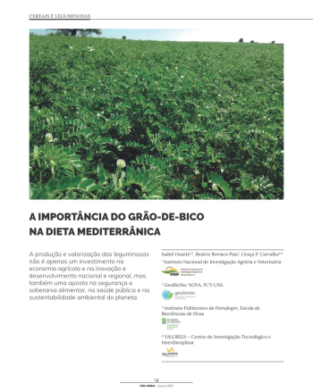 A IMPORTÂNCIA DO GRÃO-DE-BICO NA DIETA MEDITERRÂNICA Imagem 1