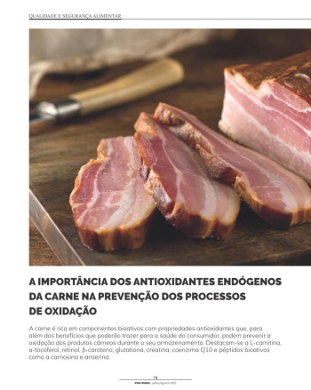 A IMPORTÂNCIA DOS ANTIOXIDANTES ENDÓGENOS DA CARNE NA ... Imagem 1