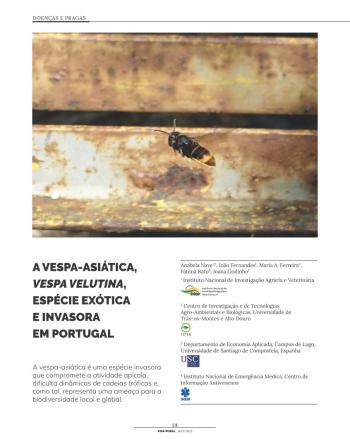 A VESPA-ASIÁTICA, VESPA VELUTINA, ESPÉCIE EXÓTICA E ... Imagem 1