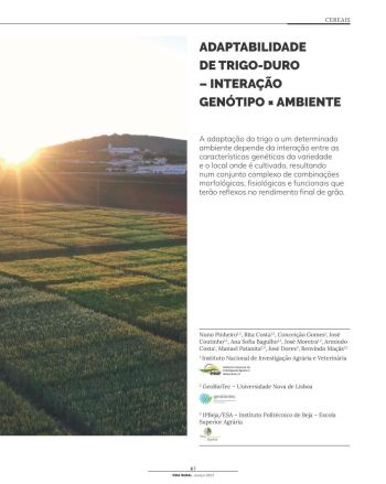 ADAPTABILIDADE DE TRIGO-DURO – INTERAÇÃO GENÓTIPO × AMBIENTE Imagem 1