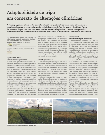 Adaptabilidade de trigo em contexto de alterações climáticas Imagem 1
