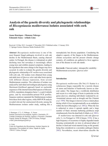 Analysis of the genetic diversity and phylogenetic ... Imagem 1