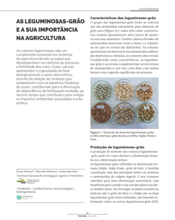 AS LEGUMINOSAS-GRÃO E A SUA IMPORTÂNCIA NA AGRICULTURA Imagem 1