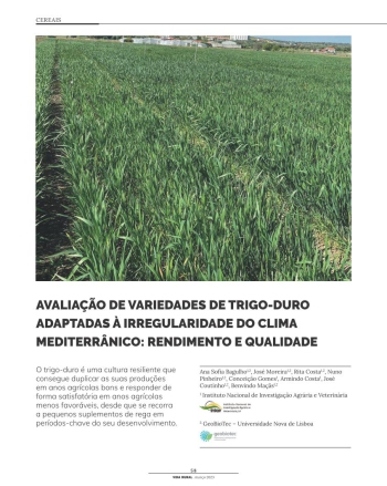 AVALIAÇÃO DE VARIEDADES DE TRIGO-DURO ADAPTADAS À ... Imagem 1