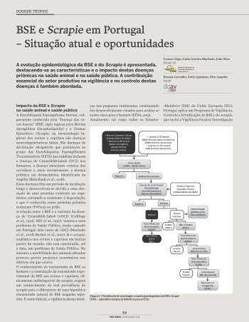 BSE e Scrapie em Portugal – Situação atual e oportunidades Imagem 1