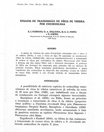 Ensaios de transmissão de vírus de videira por cochonilhas Imagem 1
