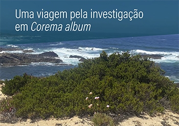 Uma viagem pela investigação em Corema album Imagem 1
